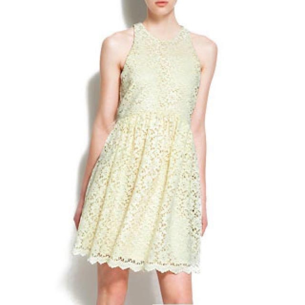Zara carousel lace skater dress